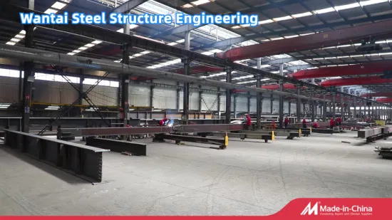 Lieferung von vorgefertigten Stahlgebäuden/Werkstätten/Aufhängern/Lagern mit verzinkter Stahlkonstruktion
